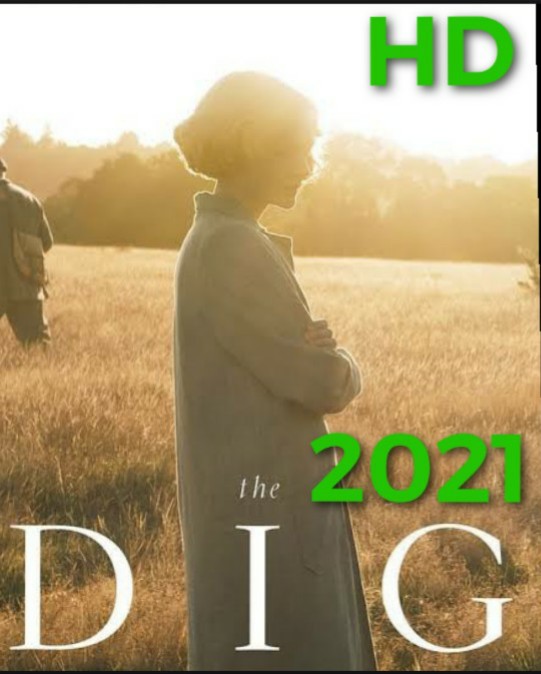 dig